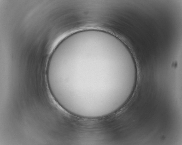 X0000110771334200906150944