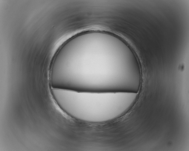 X0000110771335200906150944