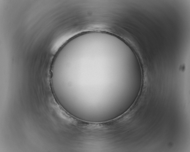X0000110771336200906150944