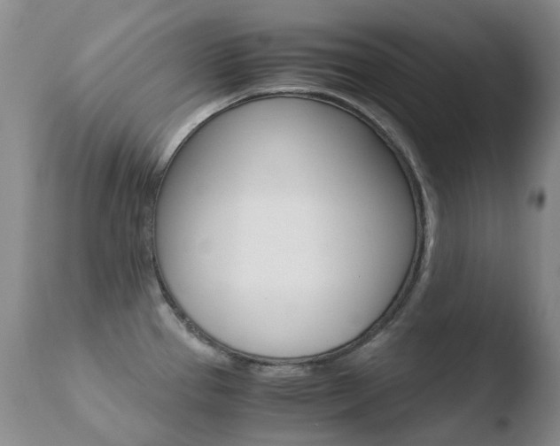 X0000110771337200906150944