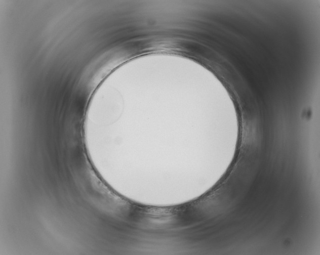 X0000110771338200906150944