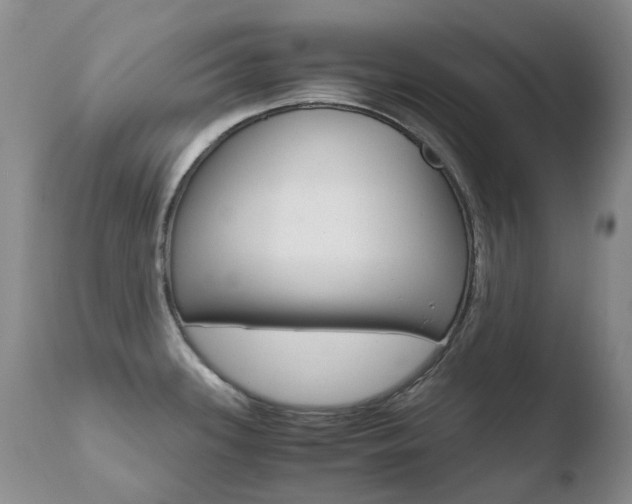 X0000110771339200906150944