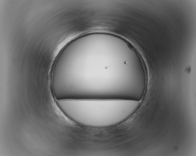 X0000110771341200906150944