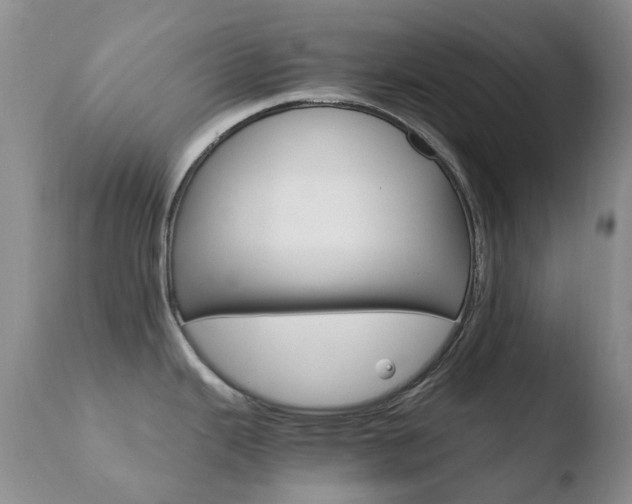 X0000110771343200906150944
