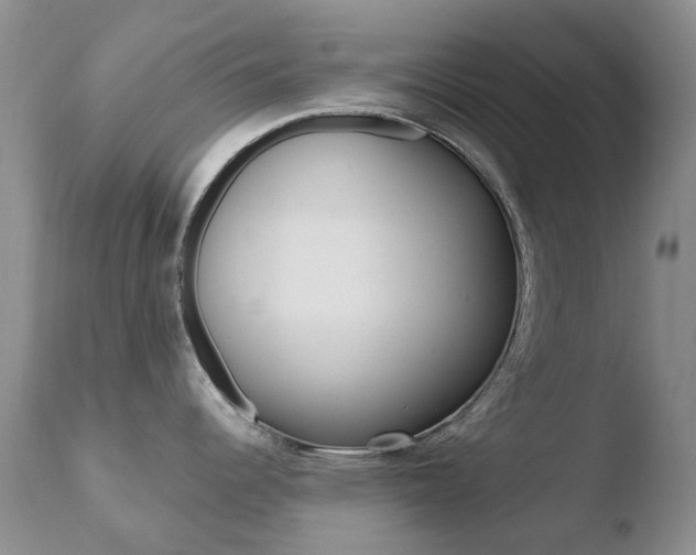 X0000110771344200906150944