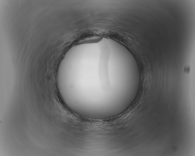 X0000110771345200906150944