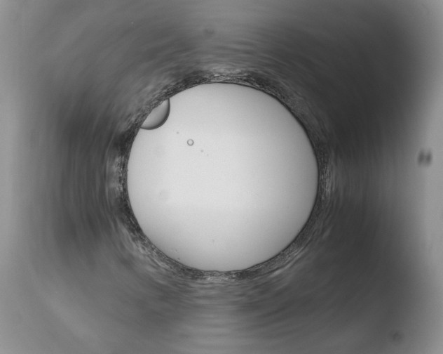 X0000110771346200906150944