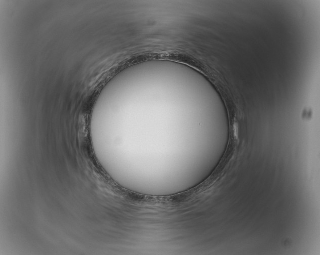 X0000110771347200906150944