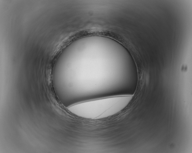 X0000110771348200906150944
