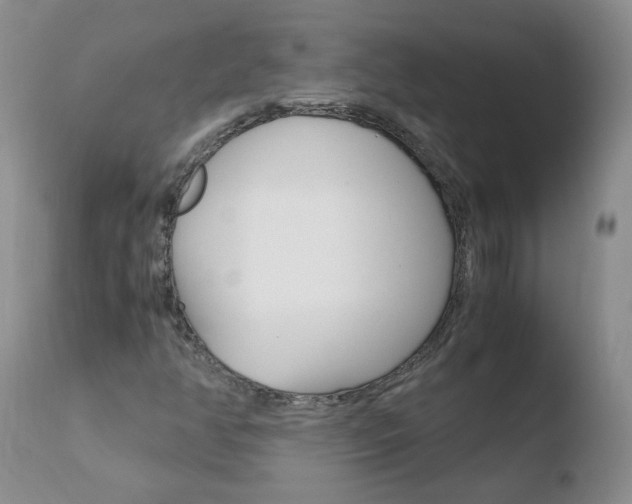 X0000110771350200906150944