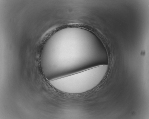 X0000110771351200906150944