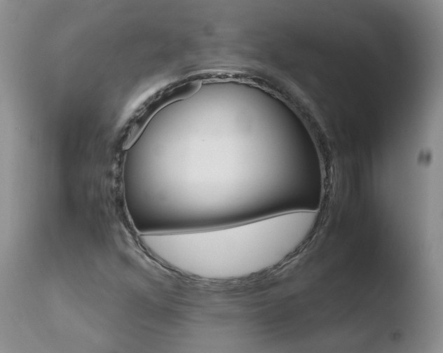 X0000110771352200906150944