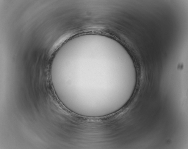 X0000110771354200906150944