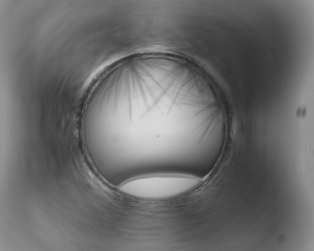 X0000110771356200906150944