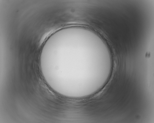 X0000110771357200906150944