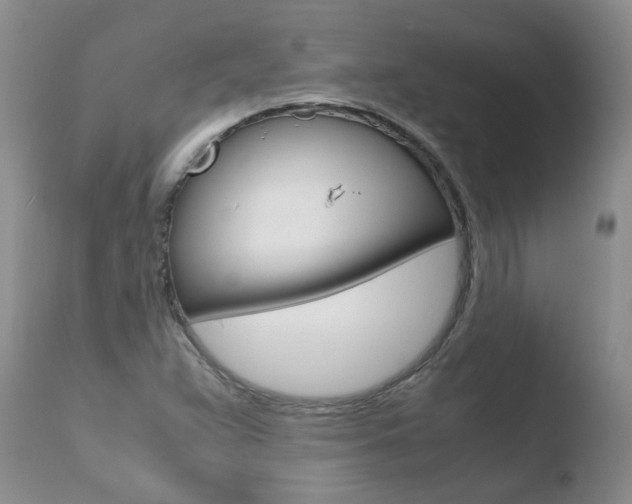 X0000110771359200906150944