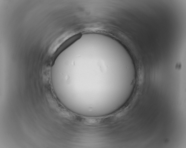 X0000110771361200906150944
