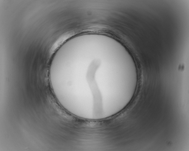 X0000110771362200906150944