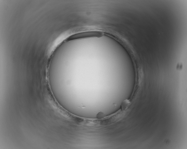 X0000110771365200906150944