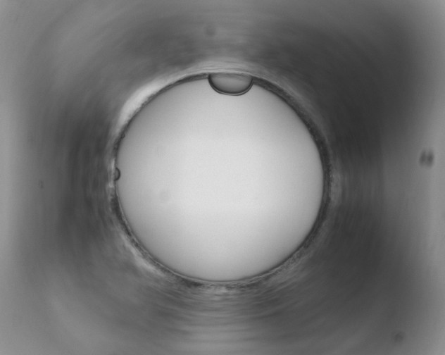 X0000110771366200906150944
