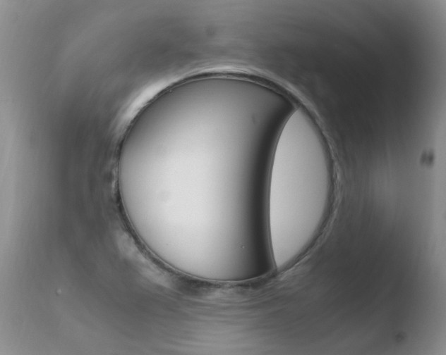 X0000110771367200906150944