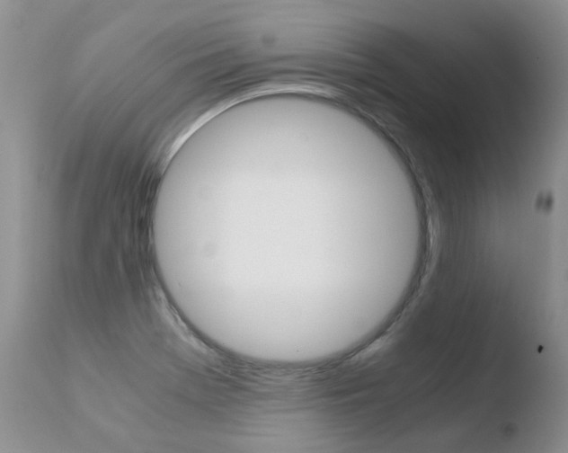 X0000110771369200906150944