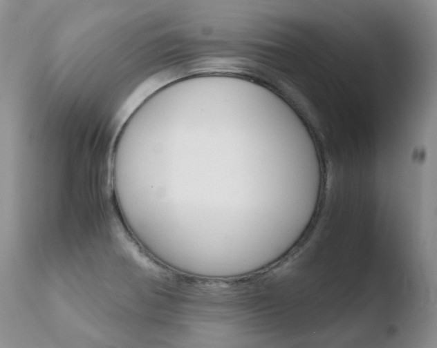 X0000110771370200906150943
