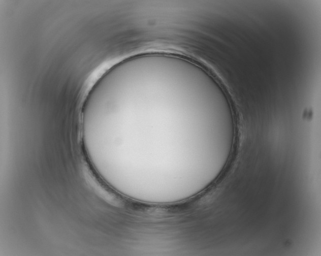 X0000110771371200906150943