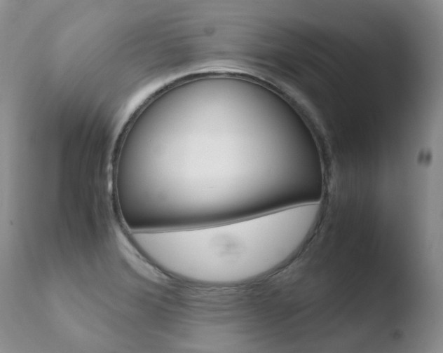 X0000110771372200906150943