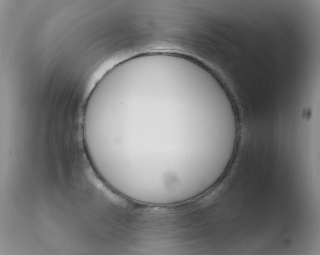 X0000110771374200906150943