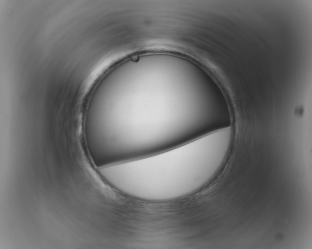 X0000110771376200906150943