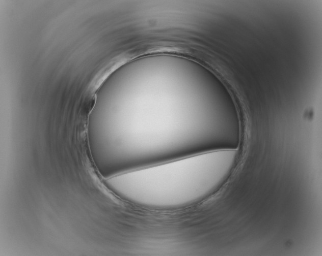 X0000110771377200906150943