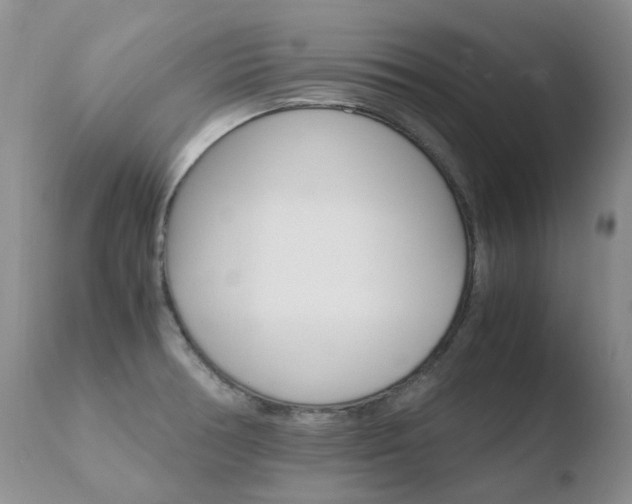 X0000110771378200906150943