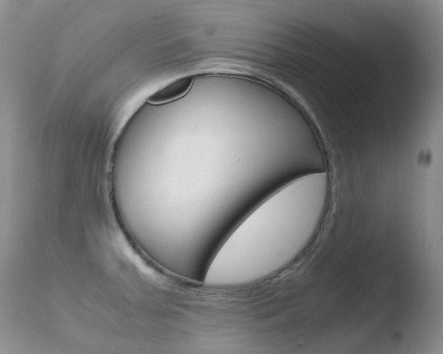 X0000110771379200906150943