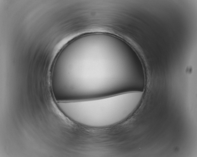 X0000110771380200906150943