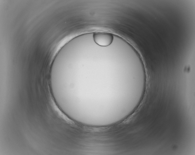 X0000110771381200906150943