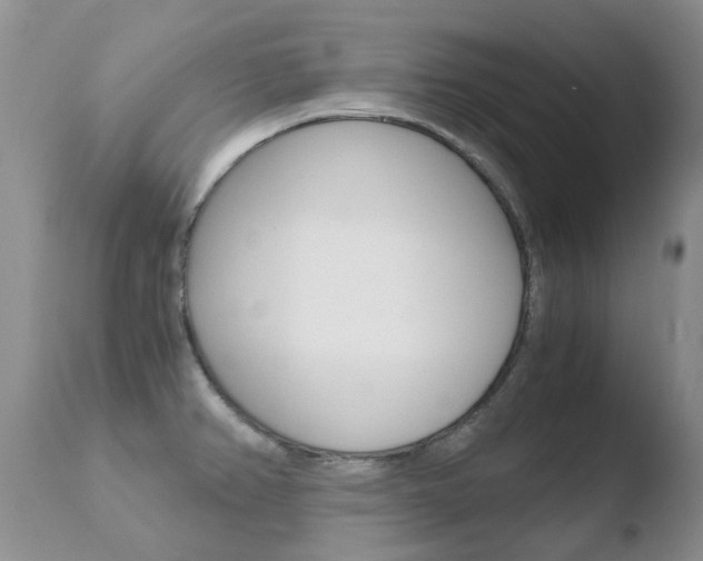 X0000110771382200906150943