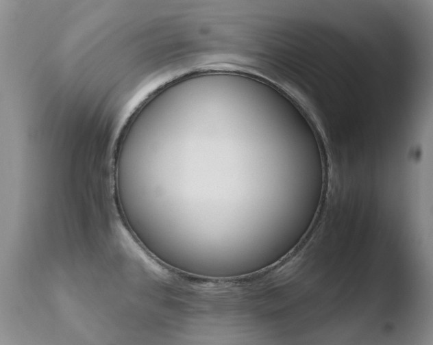 X0000110771384200906150943