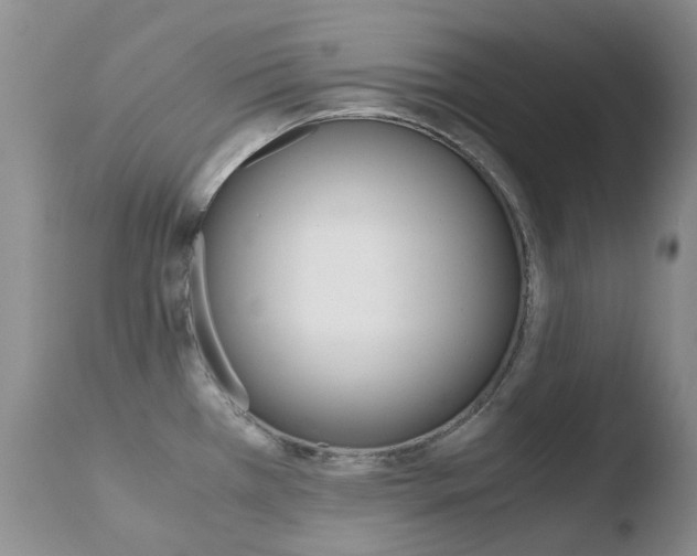 X0000110771385200906150943