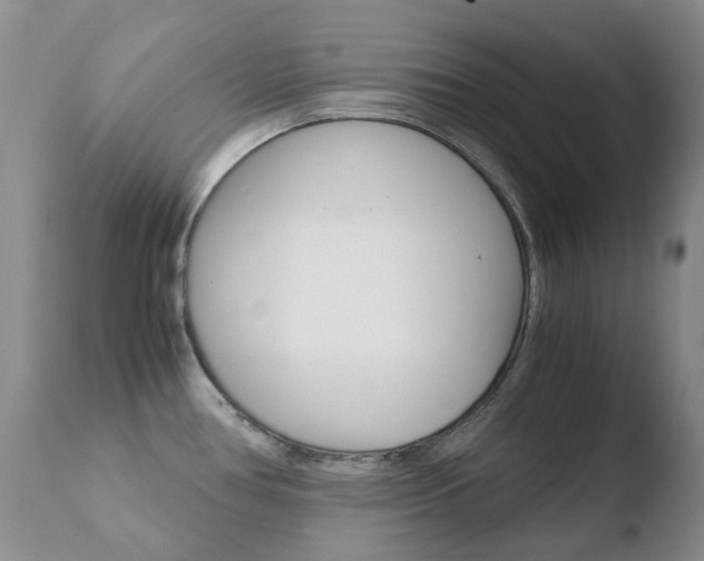X0000110771386200906150943
