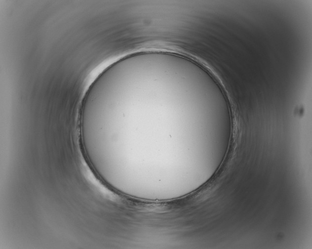 X0000110771387200906150943