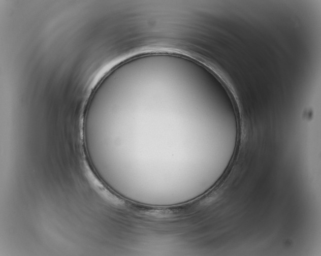 X0000110771388200906150943