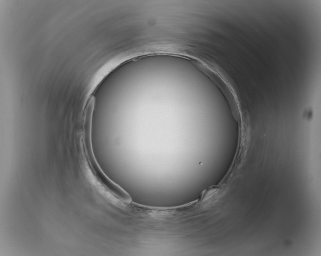 X0000110771389200906150943