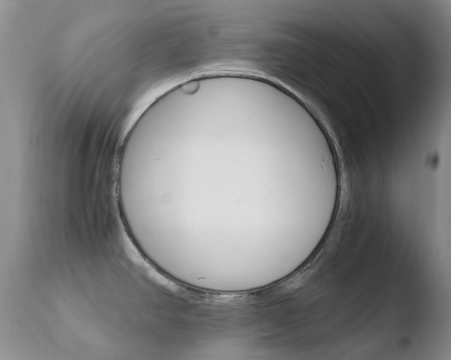 X0000110771390200906150943