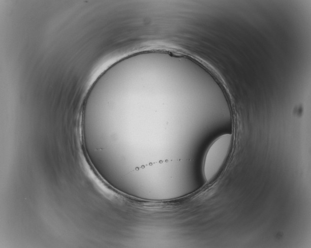 X0000110771391200906150943