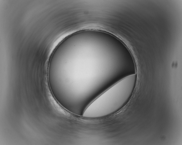 X0000110771392200906150943