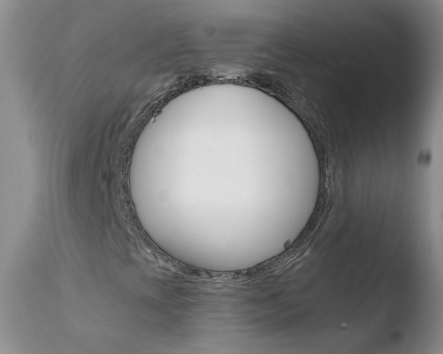 X0000110771393200906150943