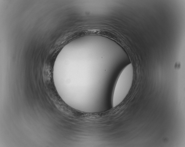 X0000110771394200906150943