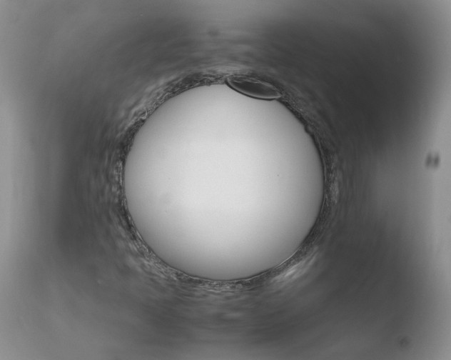 X0000110771397200906150943