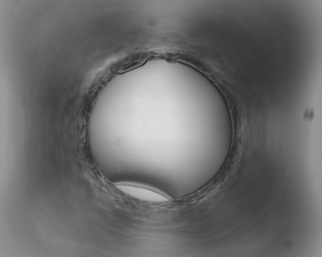 X0000110771398200906150943